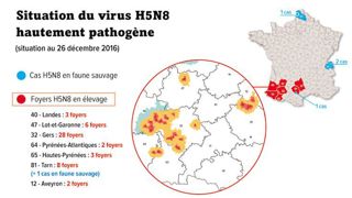 © Infographie GFA © Infographie GFA